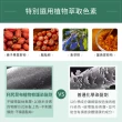 【Sastty】利尻昆布白髮用修復染髮劑200gx2入(3色任選/植萃遮白/染護2合1)