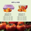 【初品果】摩天嶺高山9A甜柿特大顆12顆x1箱/禮盒(300g/顆_中秋禮盒_產地直送_大宗採購)
