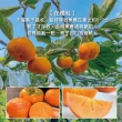 【初品果】摩天嶺達觀部落9A甜柿特大顆12顆禮盒x1箱(350g/顆 中秋禮盒_產地直送)