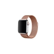 米蘭錶帶組【Apple】Apple Watch SE 3 GPS + 行動網路 40mm(鋁金屬錶殼搭配運動型錶帶)
