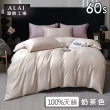 【ALAI寢飾工場】買1送1 60支100%天絲萊賽爾素色床包枕套組-均一價 單/雙/加大(多款任選/官方認證/300織)