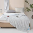 【寢聚 Sleep Club】買一送一 冰淇淋冰絲涼被 冰絲被 4色任選(四季被 涼被 夏被 涼被 冰涼被 韓國被) 涼被/