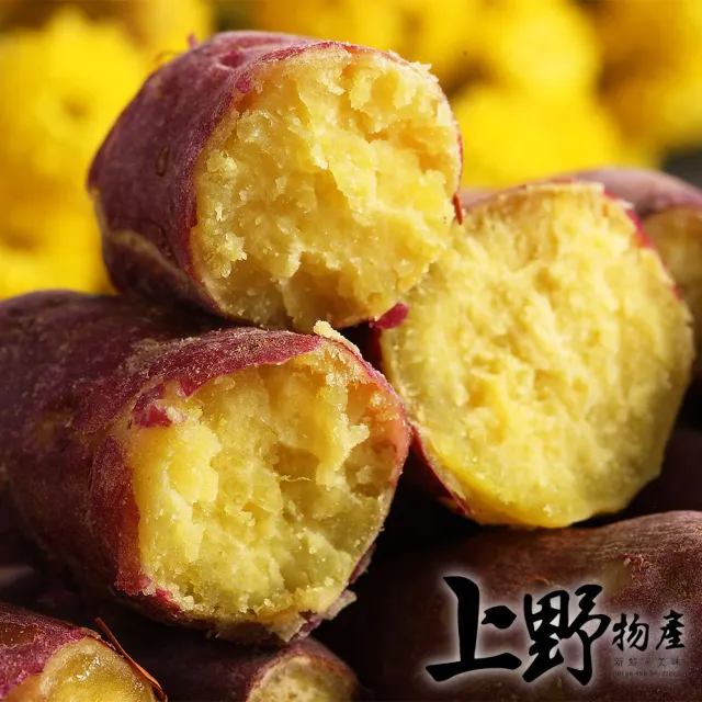 【2026】素年菜推薦｜10款高評價人氣品牌排行榜 | BALIMAN情報局