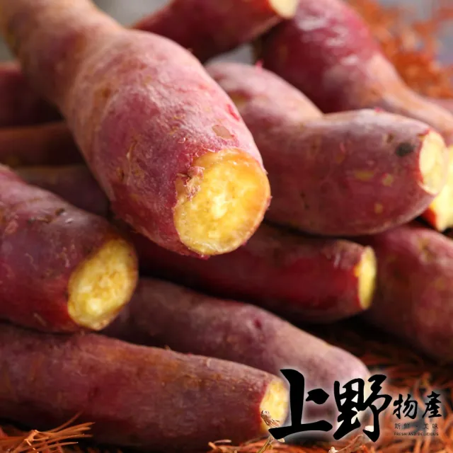 【2026】素年菜推薦｜10款高評價人氣品牌排行榜 | BALIMAN情報局