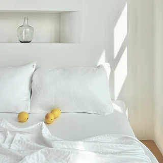 【ZAMZAM】Tsunooga™ 冰羽紗涼感枕套 夏季舒眠枕套 韓國製成人寢具(日本東洋紡涼感纖維)