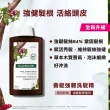 【KLORANE 蔻蘿蘭官方直營】3入組 養髮洗髮精400ml