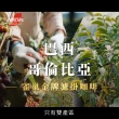 即期品【NESCAFE 雀巢咖啡】金牌綜合濾掛咖啡多入組(效期:2025/12/31)