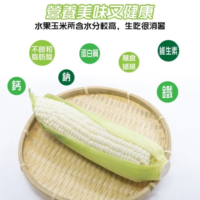 【WANG 蔬果】日本品種水果玉米5斤x1箱(農民直配)