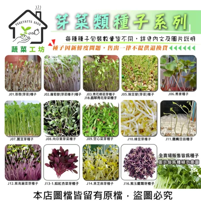 【蔬菜工坊】芽菜類種子系列-各包裝數量詳見內文及圖片說明(苜蓿芽 蘿蔔嬰 青花椰菜芽 小麥草)
