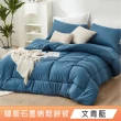 【DeKo岱珂】買一送一 韓版可水洗石墨烯四季被 2KG(十色任選 180×210cm)