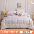 【日禾家居】買一送一 石墨烯保暖水洗被2.5KG 棉被 冬被(雙人180X210cm 多色選)