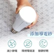 【LooCa】健康鍺+石墨烯超導帝王枕頭套 枕套1入(帝王枕專用)