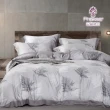 【Prawear 巴麗維亞】天絲/天絲棉 四件式兩用被床包組 雙人/加大/特大-花色任選(60支天絲)