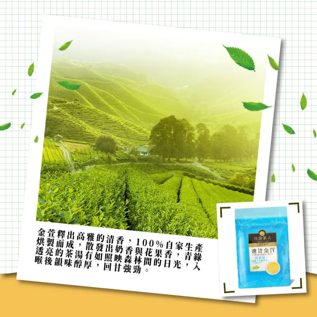 【台灣茶人】辦公室正能量茶包*5袋組(玫瑰綠茶/速甘金萱/長韻烏龍/靠譜紅茶)