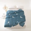 【日禾家居】買一送一 冰絲涼感床包枕套組-單/雙/加大/特大(床包高度35公分)or涼被任選(冰冰被150X200公分)