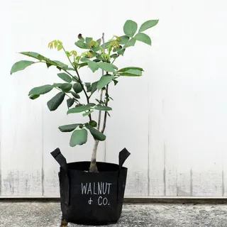 【Root Pouch】美植袋(W15cm H19cm/3.8L)