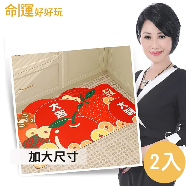 【命運好好玩】李玉珮-果然好運硅藻土地墊(2入)