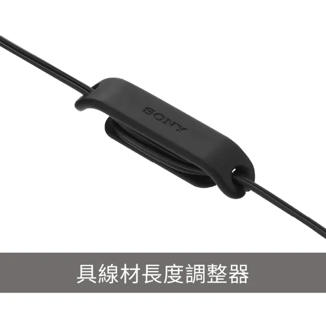 【SONY 索尼】Type-C 有線入耳式耳機 IER-EX15C(公司貨 保固 12 個月)