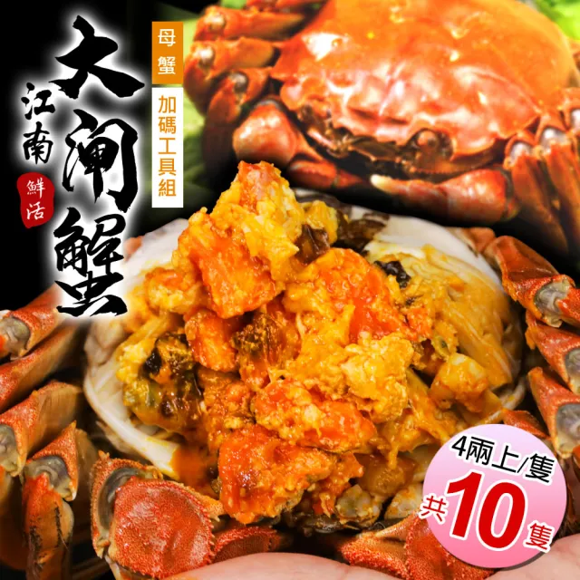 【築地一番鮮】母4兩上大閘蟹 10隻/贈工具組/江南大閘蟹