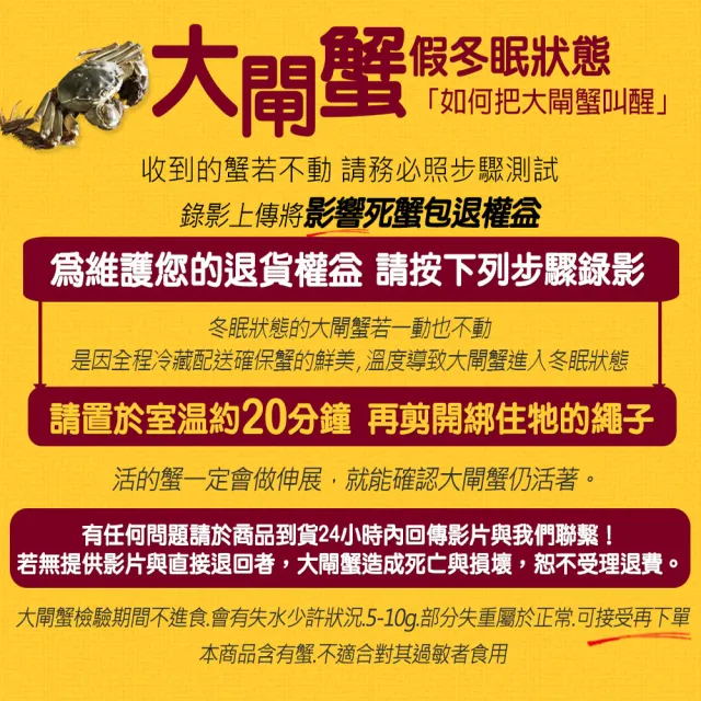 【優鮮配】(公母任選)4兩上大閘蟹 6隻組/贈工具組/江南大閘蟹