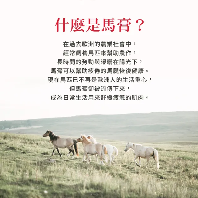 【Sanct Bernhard 聖伯納德】德國百年草本 按摩馬膏(200ml/瓶 揮別疲勞不適感)