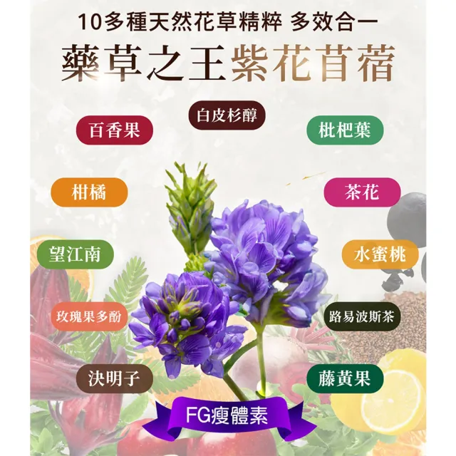 【iVENOR】十時塑花草茶-綜合口味x9盒(廖家儀推薦 冷熱沖泡 去油解膩)
