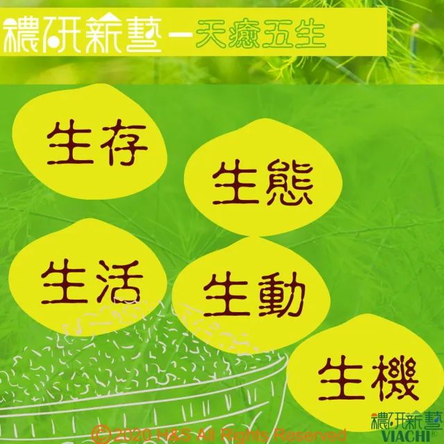 【穠研薪藝】台東長濱天癒五生糙米X2包組(1.8公斤/包)