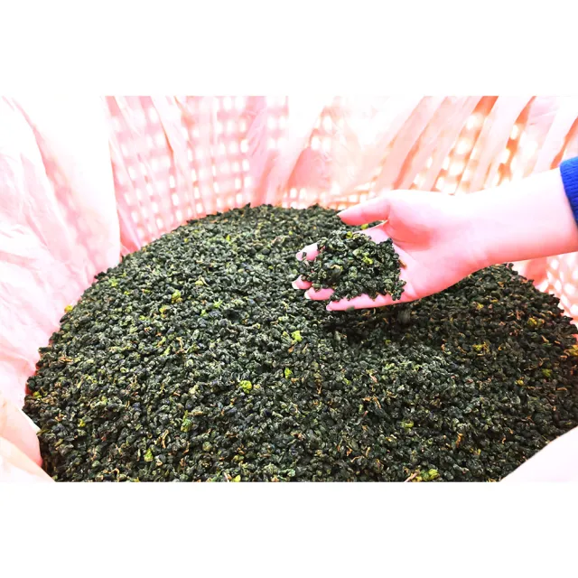 【Funbodhi 方菩提】奶香金萱茶/烏龍茶/高山茶75gx8包(共1斤;冷泡茶/阿里山/春茶)