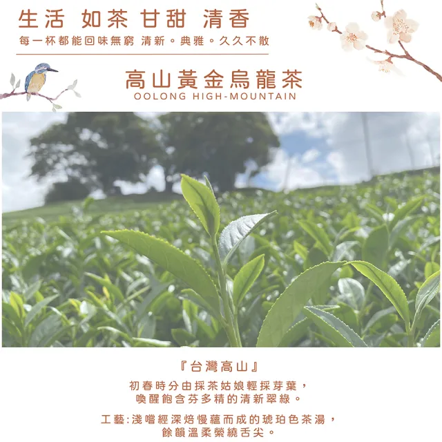 【方菩提】高山茶茶包禮盒3gx12包x2盒(茶葉禮盒 年節禮盒)