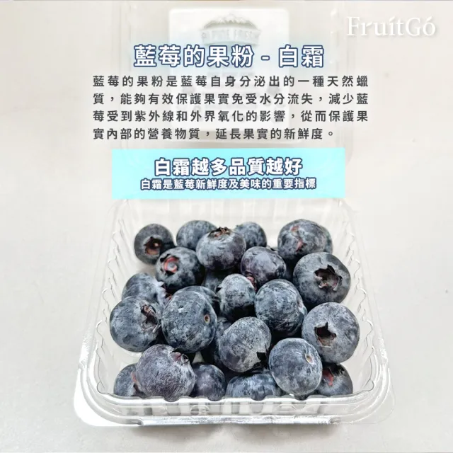 【FruitGo 馥果】祕魯 進口新鮮藍莓 18mm+巨無霸12盒*1箱(1.5kg±10%原箱產地直送_水果禮盒送禮)