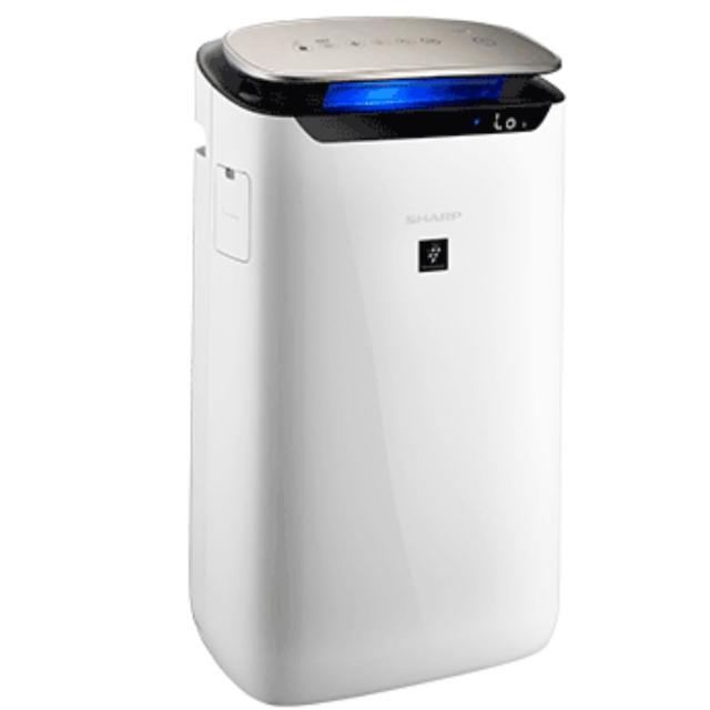 【SHARP 夏普】19坪 自動除菌離子空氣清淨機(FP-J80T-W)