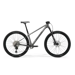 【MERIDA 美利達】BIG NINE TR 5000 29吋輪徑單避震碳纖維登山車(無附踏板/120mm前行程/林道/越野/TRAIL)