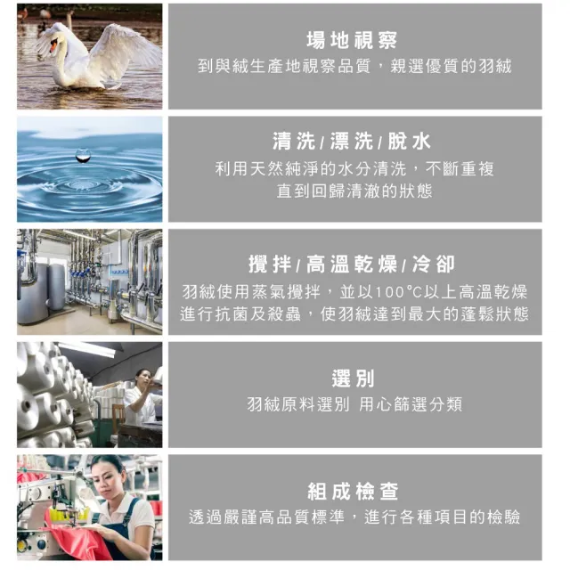 【Great Living 格蕾寢飾】La Belle 100%法國水鳥羽毛絨暖冬被/羽毛被 1.4kg(雙人 180x210cm)