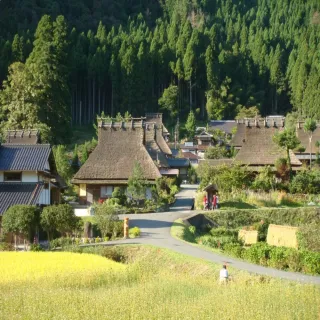 【喜鴻假期】【感蟹季秘境京都５日】10/1殺！美山合掌村、嵐山竹林、宇治抹茶、勝尾寺、半自助、螃蟹吃到飽