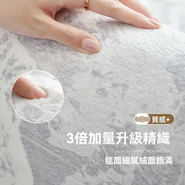 【巨匠】地毯 沙發茶幾地墊 客廳高級地毯 200x300cm地毯 臥室床邊墊 免洗可擦防水地墊(200x300cm地毯地墊)