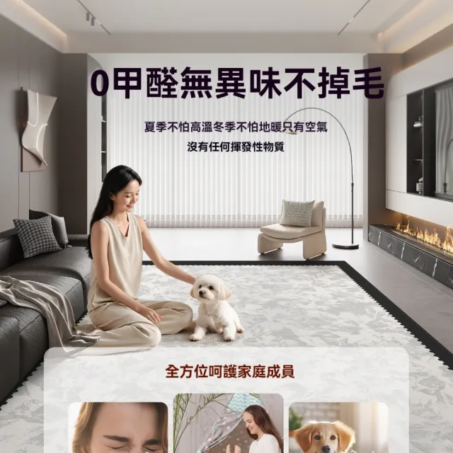 【巨匠】地毯 沙發茶幾地墊 客廳高級地毯 200x300cm地毯 臥室床邊墊 免洗可擦防水地墊(200x300cm地毯地墊)