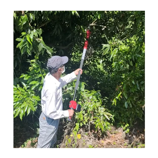 【立豐科技】無刷充電伸縮電鋸｜260公分｜長桿鏈鋸｜長距離｜高枝電動鏈鋸(切割直徑20公分)
