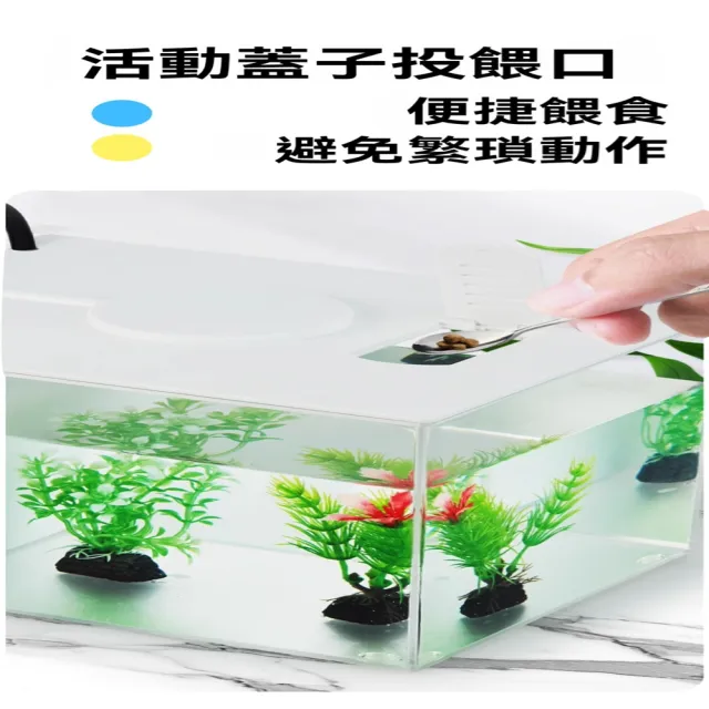 【星治】桌面魚缸 一體式側濾魚缸 制氧側濾一體免換水魚缸 預計10個工作天送達(長15*寬11*高13公分)