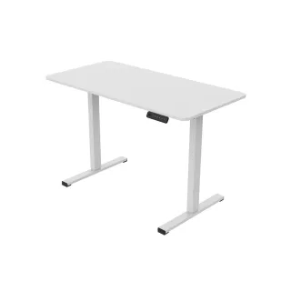 【Flexispot】FQ2 人體工學升降桌(桌面大小120*60 白色桌腳)