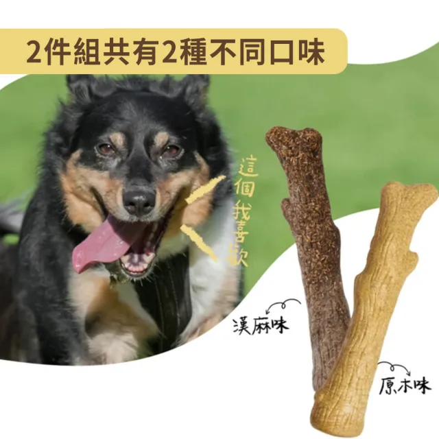 【outward hound】森林史迪克 寵物玩具 2件組 L 大型犬適用 原Petstages 潔牙 狗玩具