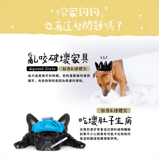 【outward hound】森林史迪克 寵物玩具 2件組 S 小型犬適用 原Petstages 潔牙 狗玩具