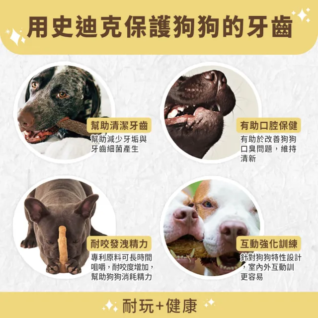 【outward hound】森林史迪克 寵物玩具 2件組 S 小型犬適用 原Petstages 潔牙 狗玩具