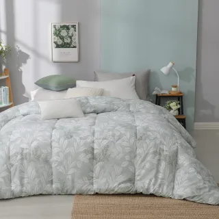 【DON 買1送1】石墨烯速暖發熱羽絲絨冬被-單人/雙人(多款任選/ 冬被/棉被 可水洗)