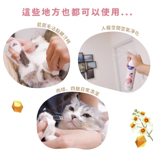 【光能淨】貓咪專屬！瞬效去味除菌噴霧600mlx2-安心乳香(抗菌除臭 肌膚護理 安心寧神 舒緩身心)