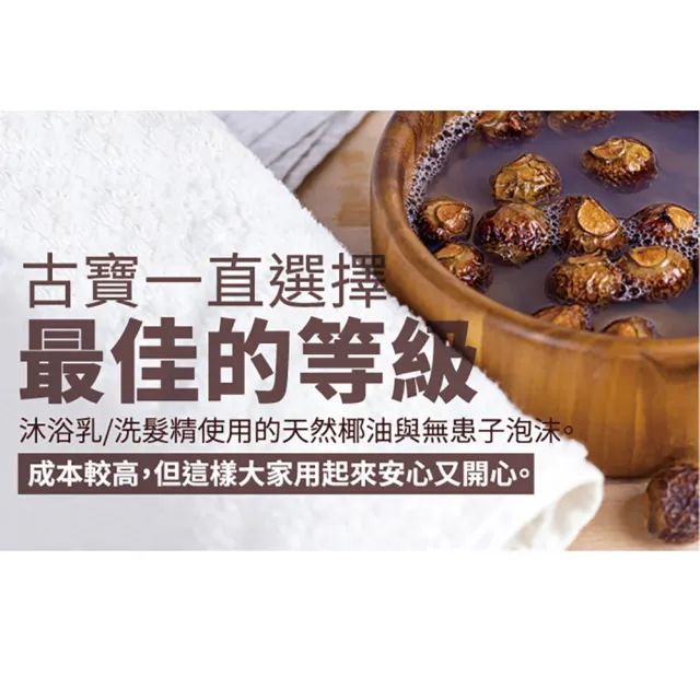 【古寶無患子】2入任選 3倍濃縮洗衣精1000ml(青檸萊姆/溫暖陽光/寶寶低敏/千層玫瑰)
