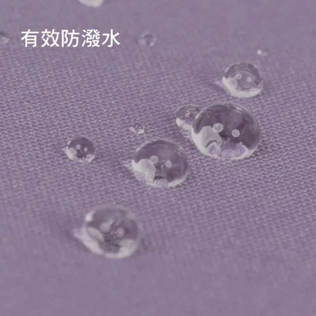 【雨傘王】BigPurple 直傘 自動傘 58CM 防風 輕量 防潑水 58CM 高CP值 1-2人撐(超值款無維修)