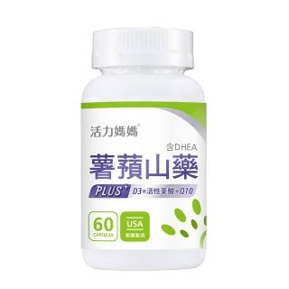 【活力媽媽】倍韻薯蕷山藥PLUS天然山藥萃取DHEA新增葉酸+Q10+D3(熟齡保養、孕前推薦 一瓶60顆裝)