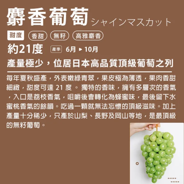 【RealShop】日本山梨/長野空運大串麝香葡萄1kg(約500g*2房裝 水果禮盒 送禮)