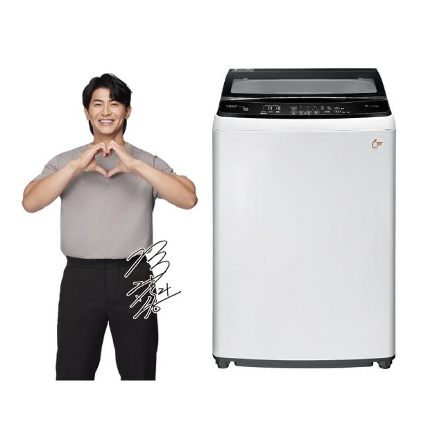 【TECO 東元】16kg 變頻直立式洗衣機(W1611XW)