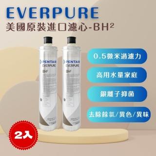 【濱特爾】EVERPURE BH2 美國原廠進口 平行輸入(BH2*2入裝 濾芯 濾心)